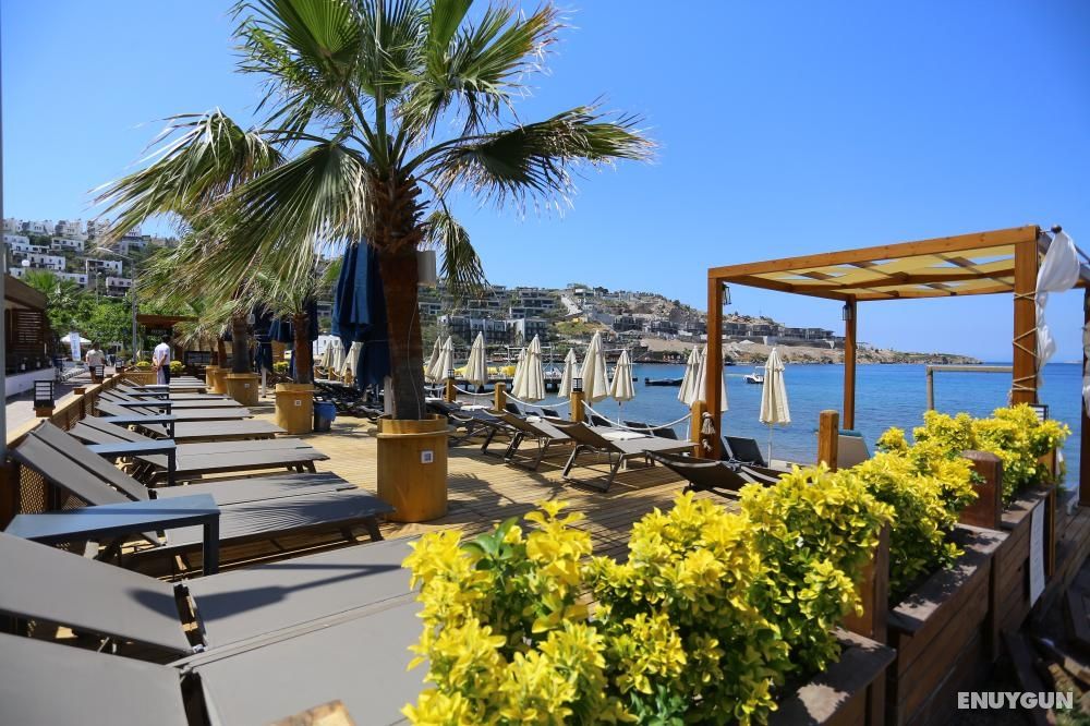 Casa Ja Voi Hotel