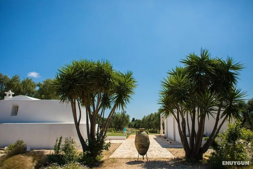 Casa Kairos - Dış Mekan