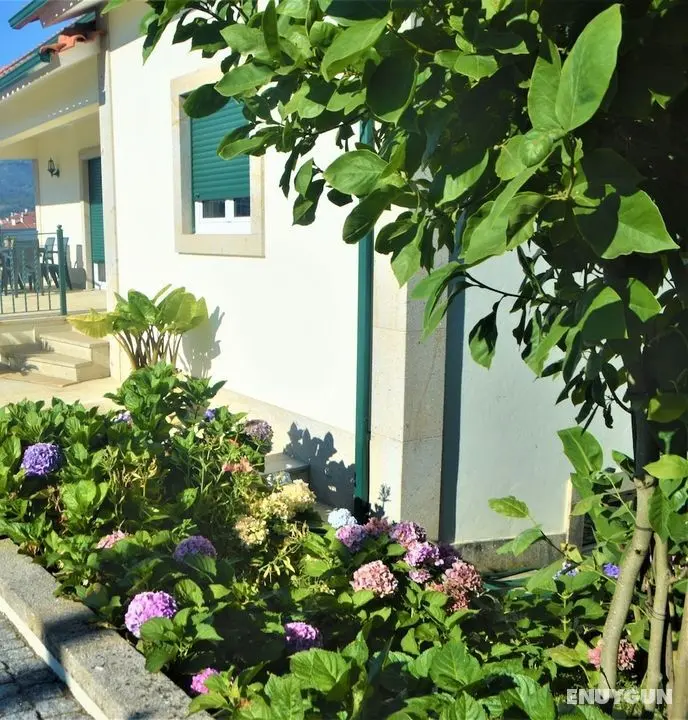 Casa Límia - Öne Çıkan Resim