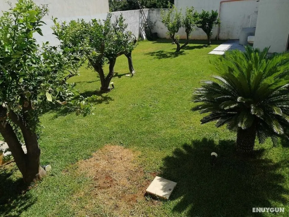 Casa Lisa a due passi dal mare con ampio giardino - Dış Mekan