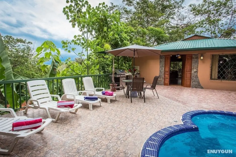 Casa Macaw Jungle Cabin w Private Pool Wifi and AC - Oda