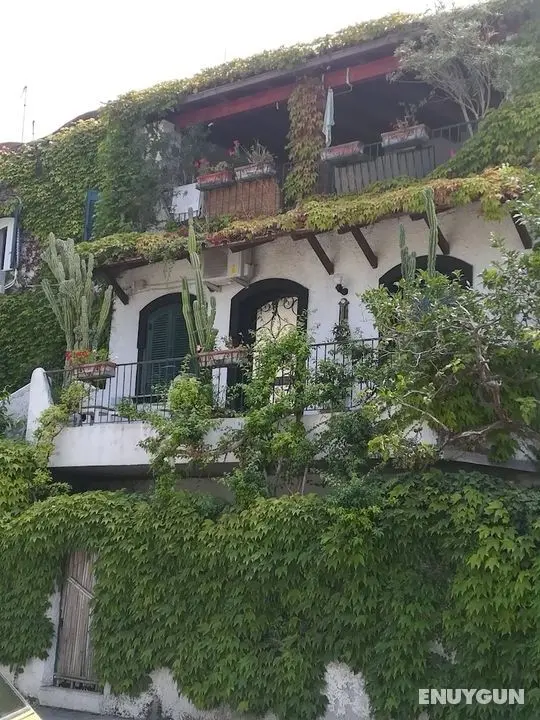 Casa Malò - Öne Çıkan Resim