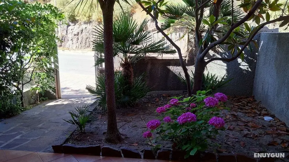 Casa Marina - Öne Çıkan Resim