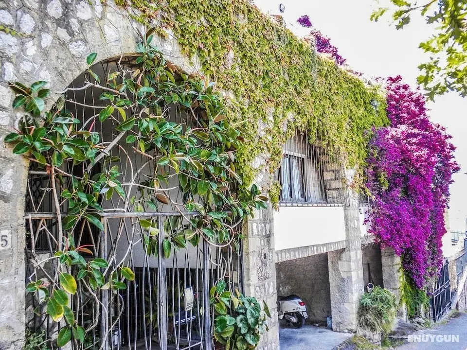 Casa Marisa - Öne Çıkan Resim