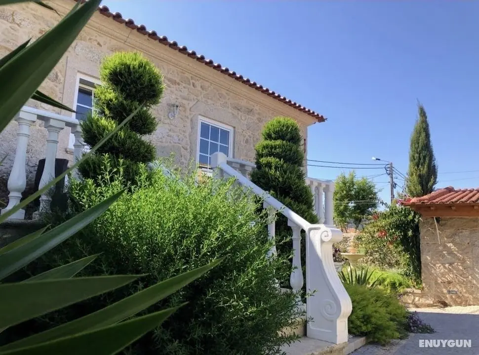 Casa Pedro e Ines - Oda Manzaraları