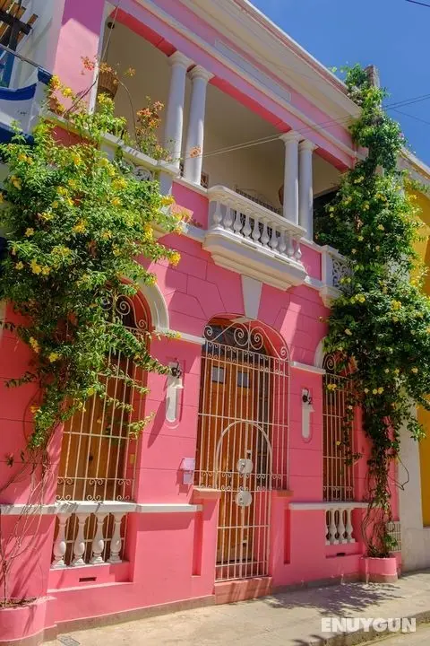 Casa Rosa Hotel - Öne Çıkan Resim