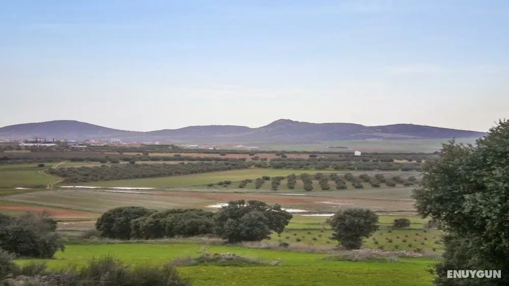 Casa Rural Alonso Quijano El Bueno - Oda Manzaraları