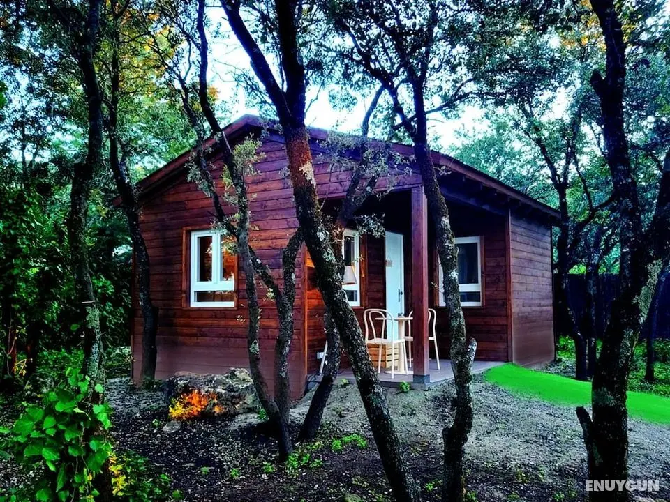 Casa rural de Rafael Suites de Madera - Öne Çıkan Resim