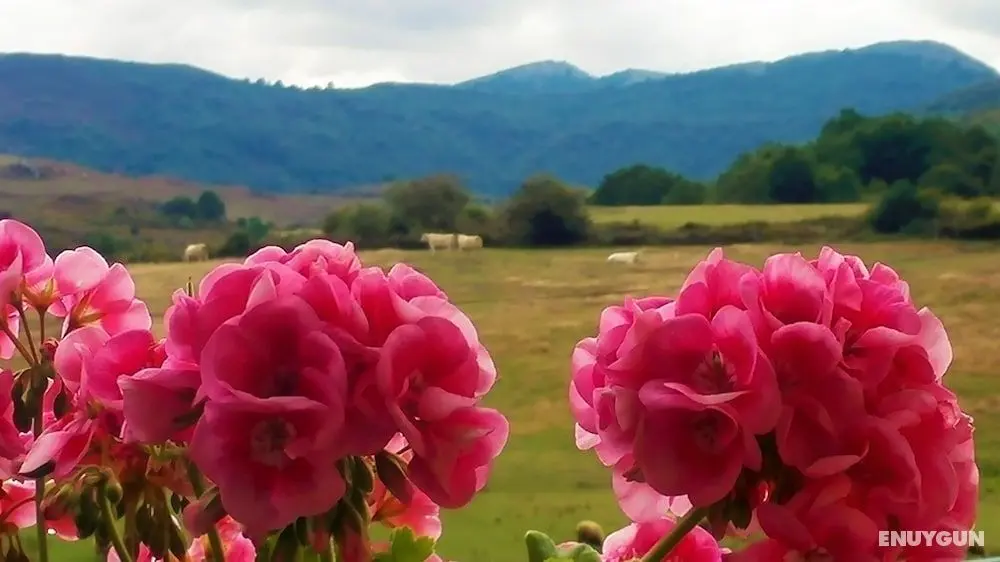Casa Rural La Toba I y II - Oda Manzaraları