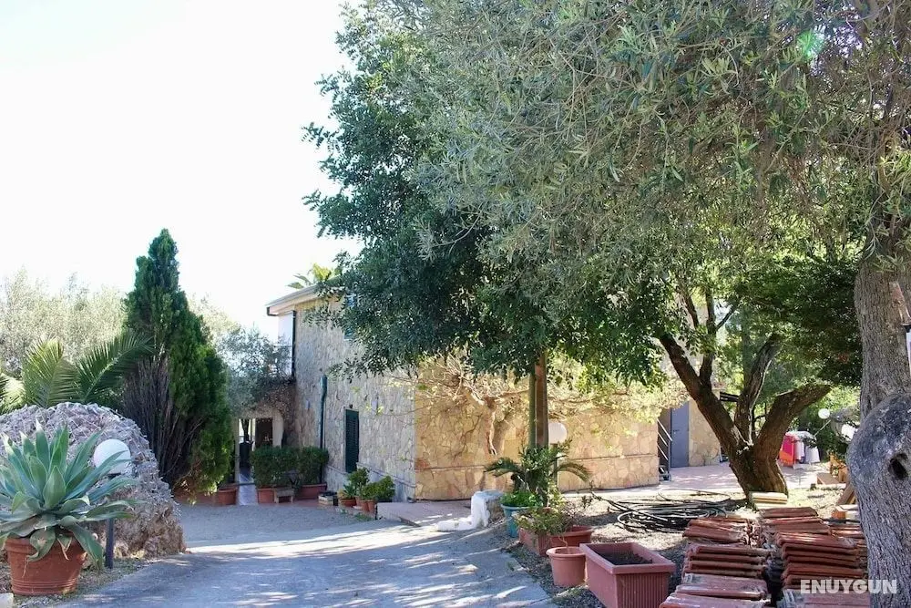 Casa Siciliana Altarbiah - Dış Mekan