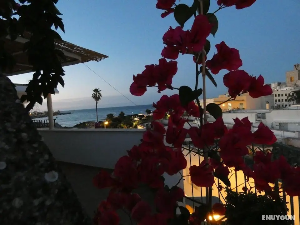Casa Vacanze Maison d'O - Dış Mekanlar