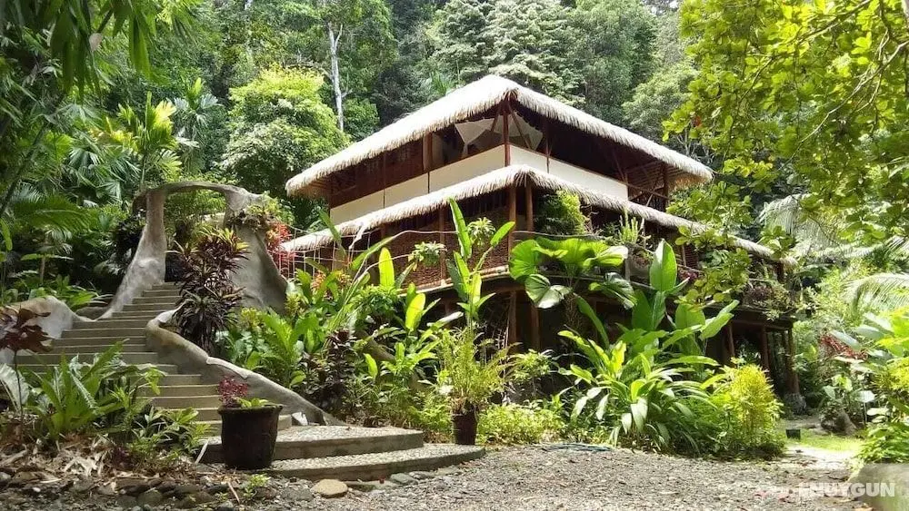 Casa Vida Verde - Öne Çıkan Resim