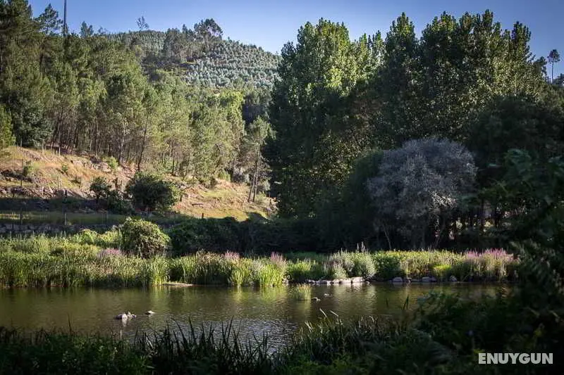 Casas do Patio, Lda. Country Houses & Nature - Genel