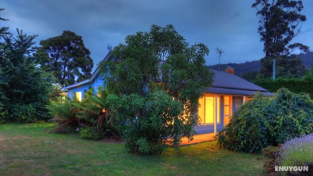 Castaway Cottage - Essentially Tas - Dış Mekan