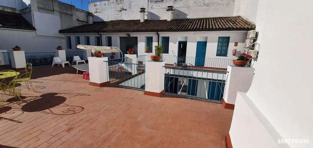 Casual de las Letras Sevilla - Oda