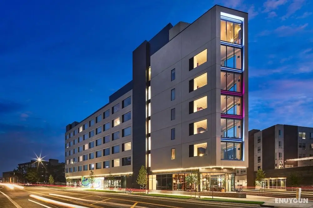 Catbird Hotel - Öne Çıkan Resim