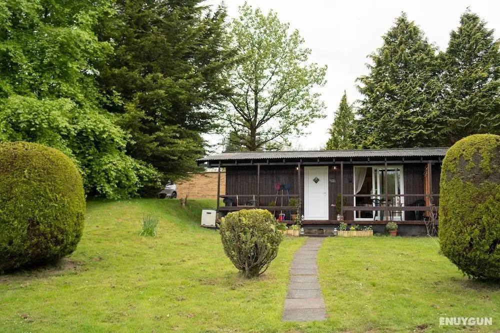 Catkin Lodge set in a Beautiful 24 Acre Woodland Holiday Park - Öne Çıkan Resim