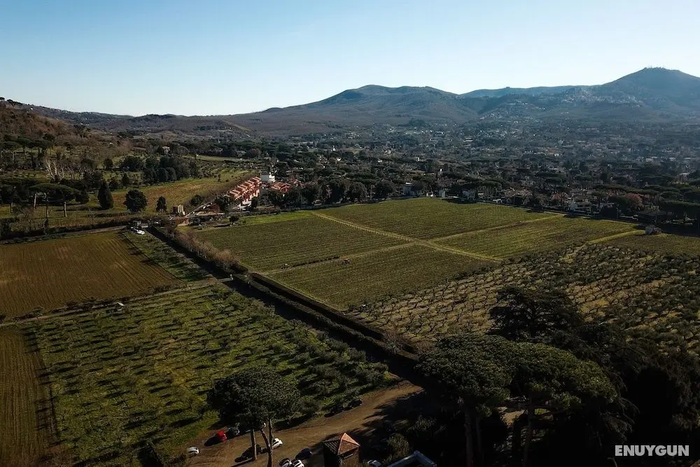 Villa Cavalletti Camere - Öne Çıkan Resim