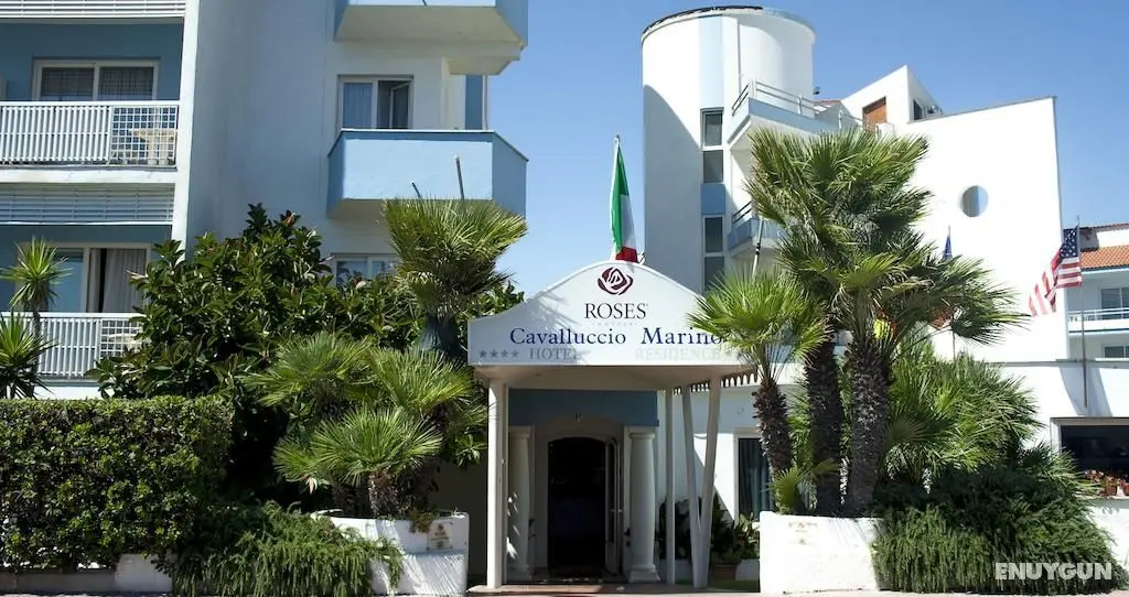Cavalluccio Marino Hotel - Genel