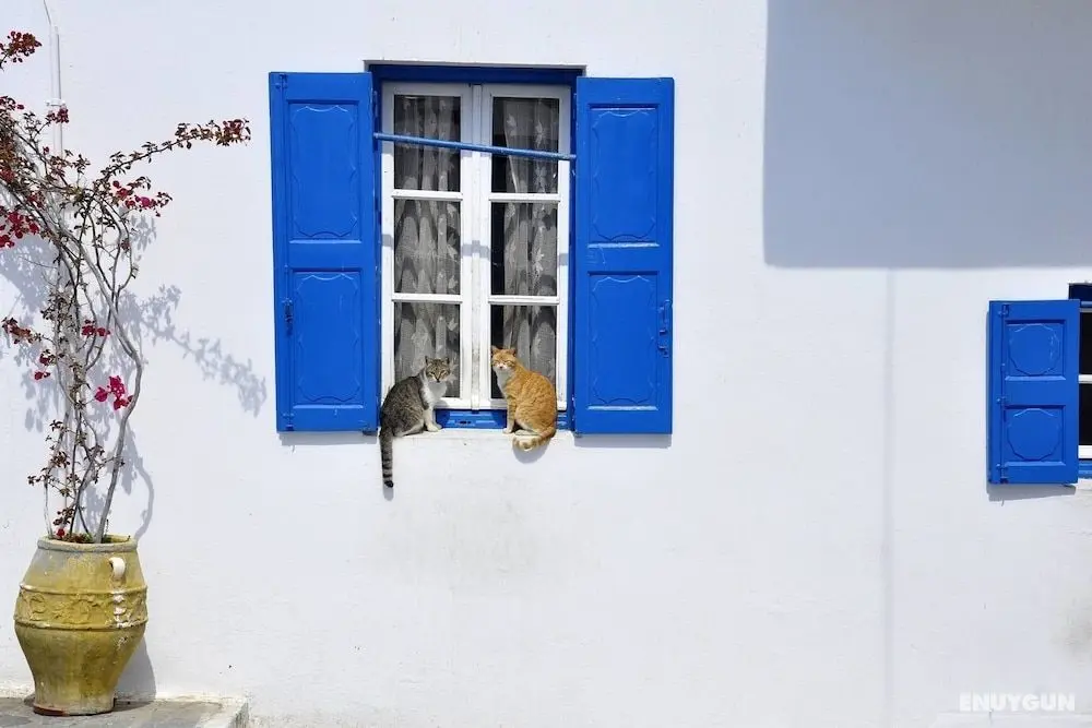 Cavo Mykonos Apartments - Öne Çıkan Resim