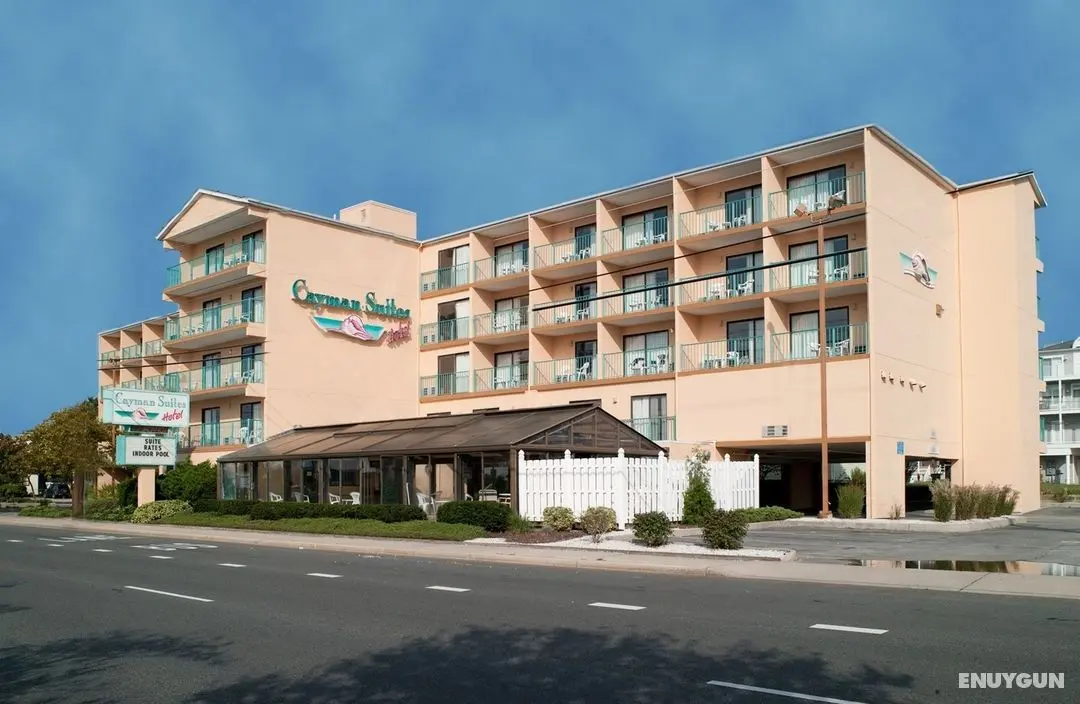 Cayman Suites Hotel - Genel