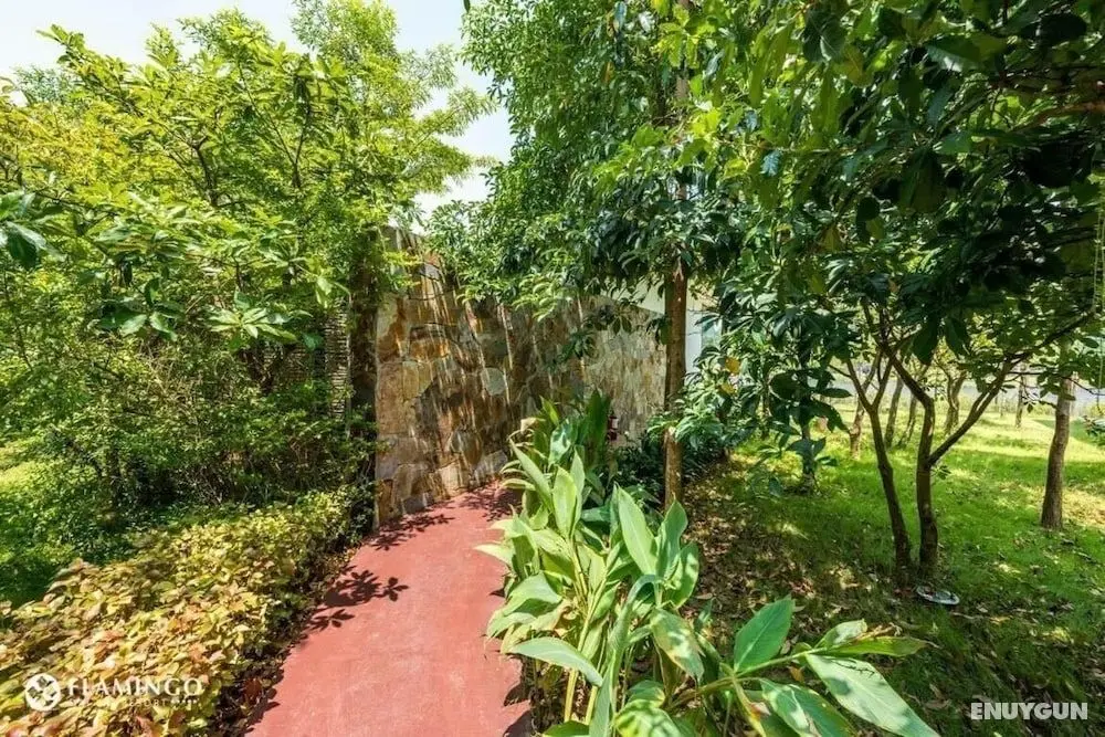 Villa CBT Flamingo Dai Lai - Dış Mekan