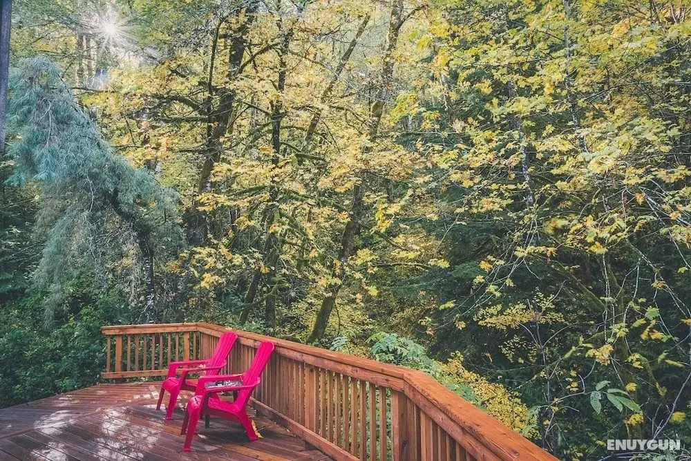 Cedar Creek Hideaway - Öne Çıkan Resim