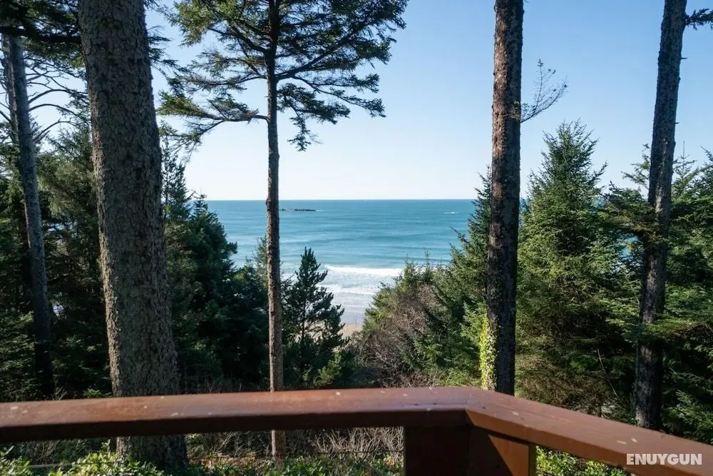 The Cedar House - Öne Çıkan Resim
