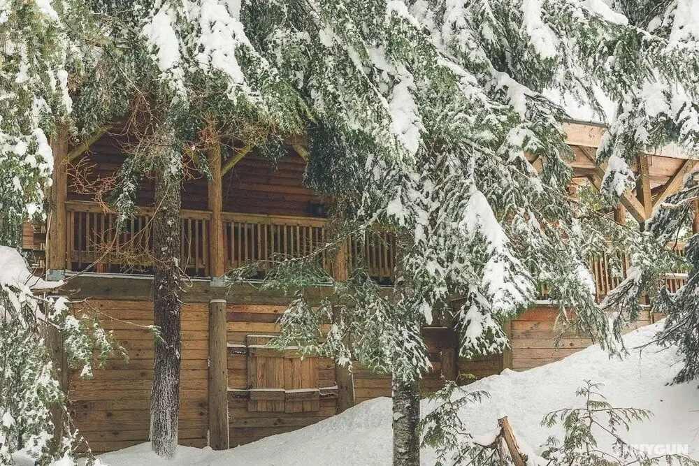 Cedarwood Lodge - Dış Mekan