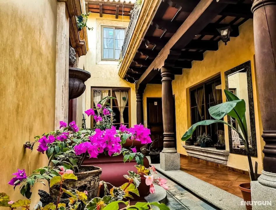 Central Bougainvillea - Öne Çıkan Resim