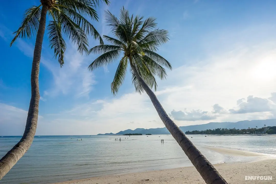 Chaba Cabana Beach Resort - Genel