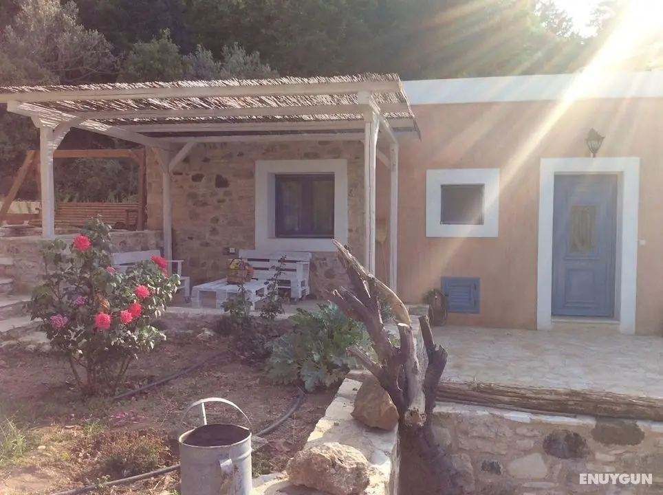 Chaihoutes stone House into Olive farm in Zia - Öne Çıkan Resim