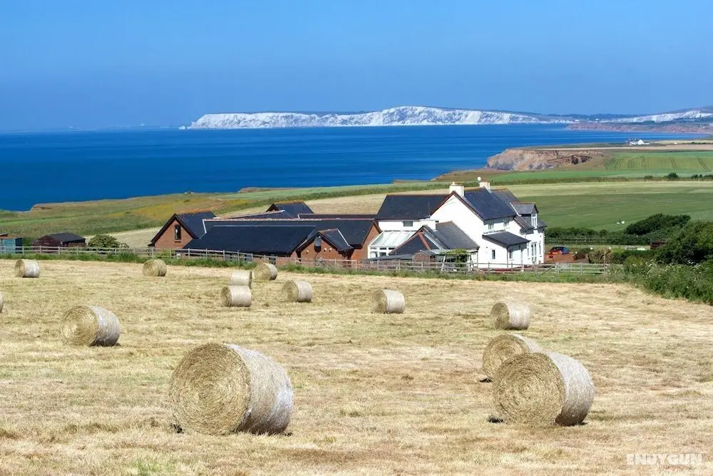 Chale Bay Farm - Öne Çıkan Resim