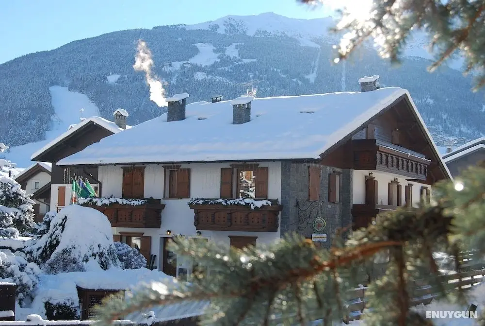 Chalet Gardenia - Öne Çıkan Resim
