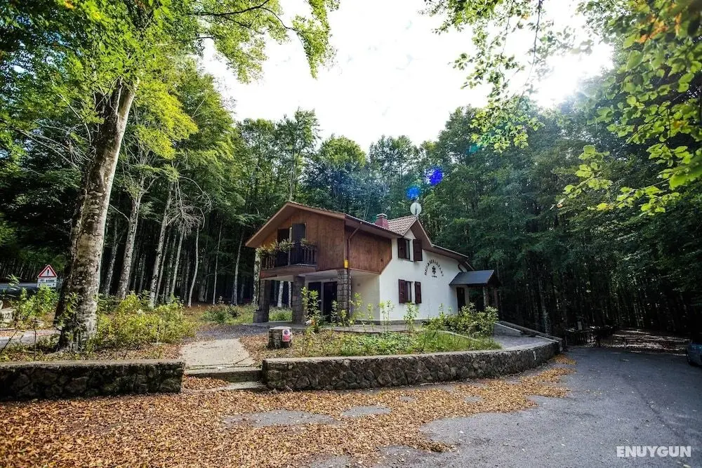 Chalet Il Cristallo - Dış Mekan
