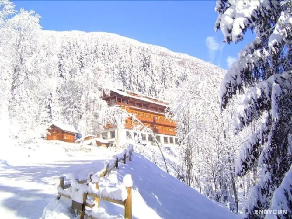 Chalet Hotel Les Campanules - Dış Mekan