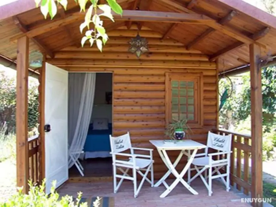 Chalet Lidia - Öne Çıkan Resim
