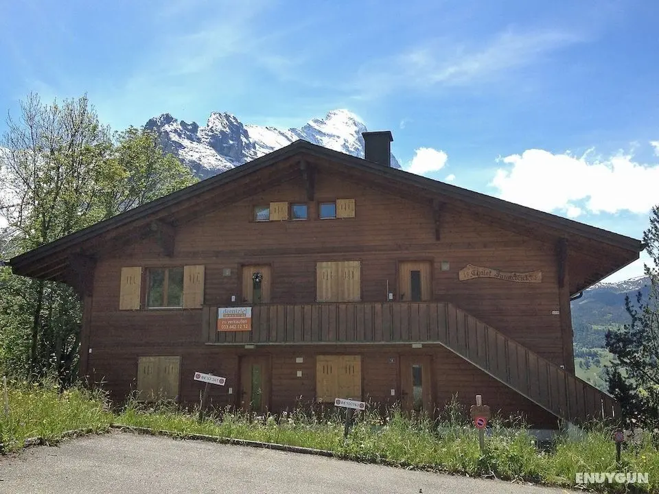 Chalet Sunneblick Grindelwald - Öne Çıkan Resim