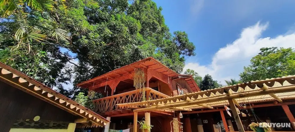 Chalet Y Cabinas Hibiscus - Öne Çıkan Resim