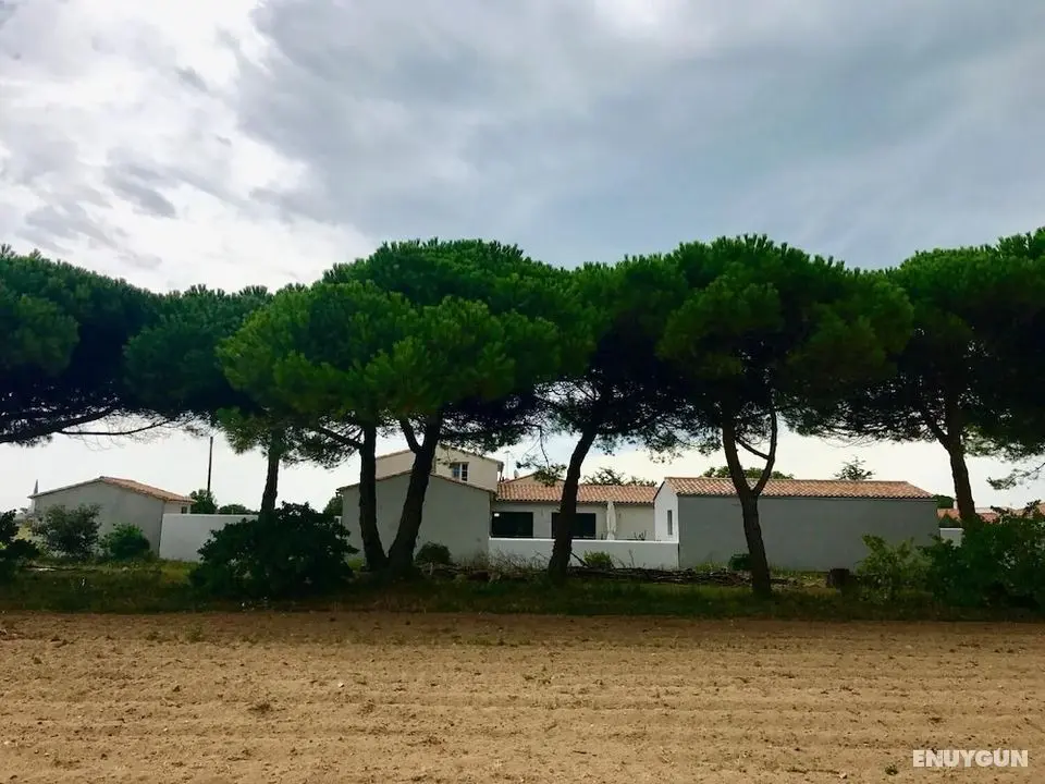 Chambre d'hôtes Fleur de pin - Dış Mekan