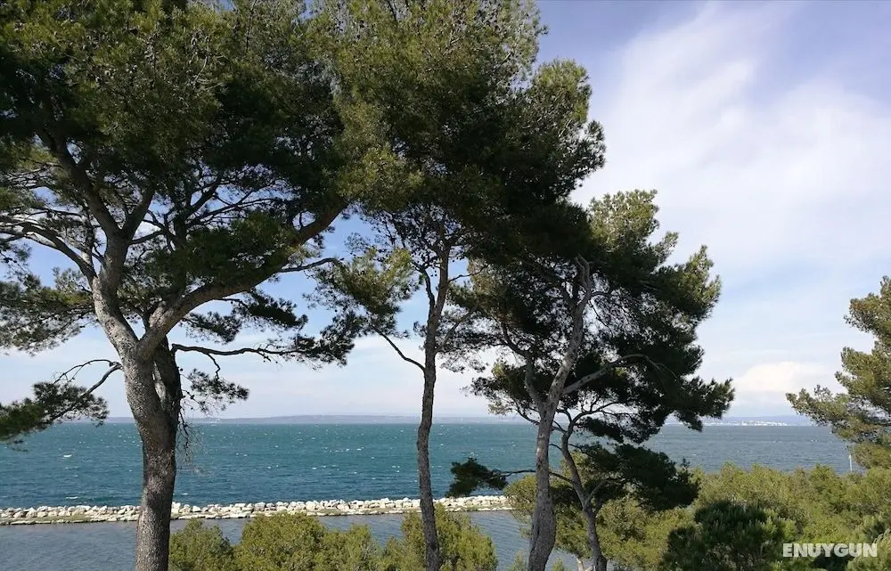 Chambre d'hotes La Cigalière - Öne Çıkan Resim
