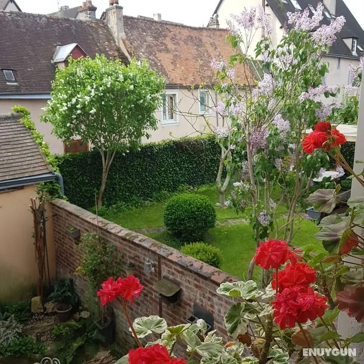 Chambre d'hôtes - Les Convivhotes - Oda Manzaraları