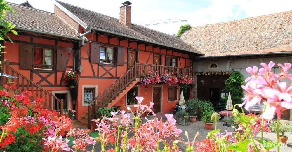 Chambres chez Mado Alsace - Öne Çıkan Resim