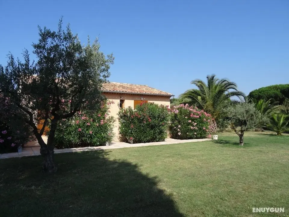 Chambres d'hôtes Villa Alizé - Öne Çıkan Resim