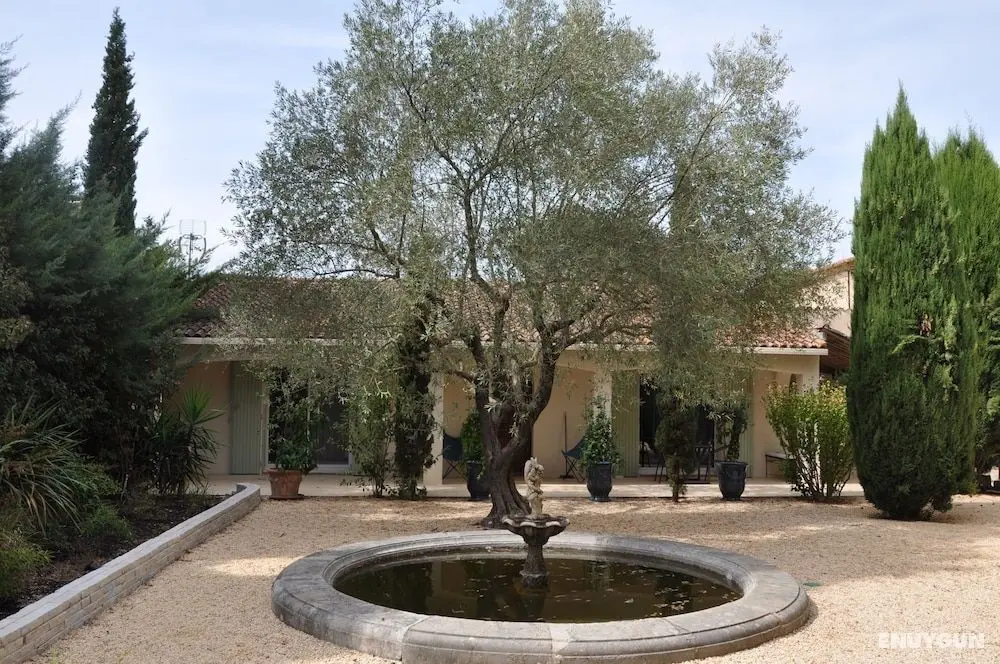 Chambres D'hôtes Sous L'olivier - Öne Çıkan Resim