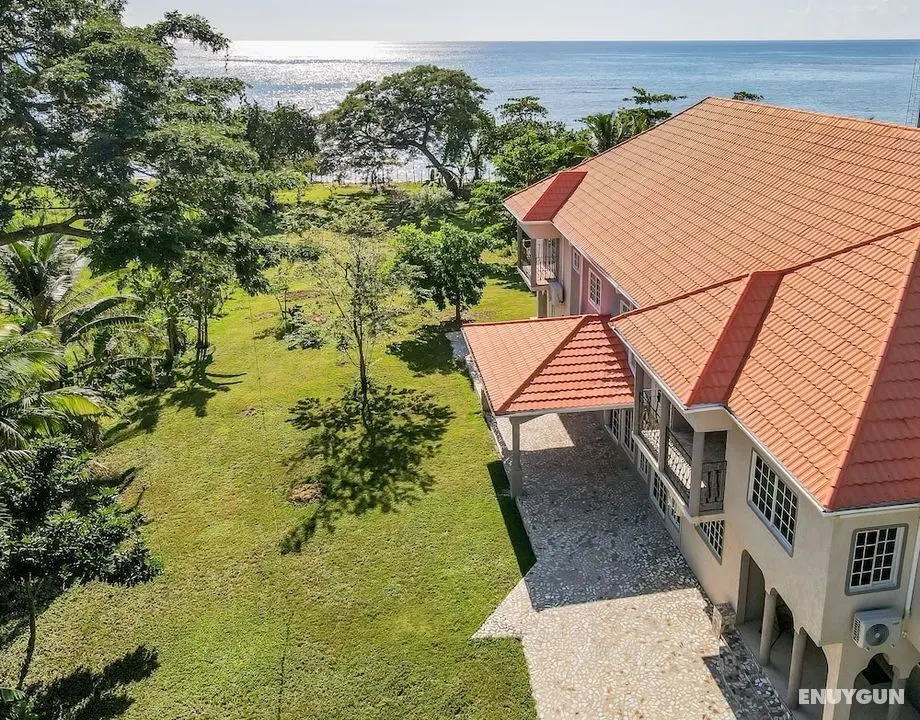 Champagne Villa - Dış Mekan