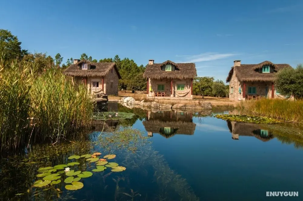 Chão do Rio - Turismo de Aldeia - Öne Çıkan Resim
