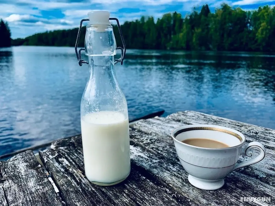 Charming 1-bed Studio in Avesta - Oda