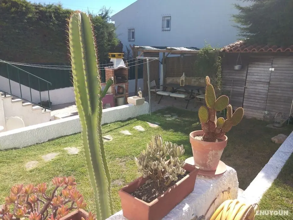 Charming 2-bed House in Sesimbra - Öne Çıkan Resim