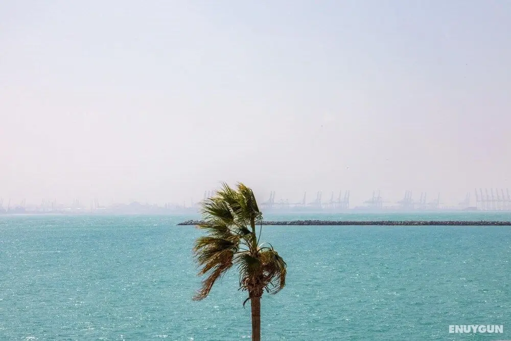Charming Apt With Arabesque Sea View on the Palm Jumeirah - Oda